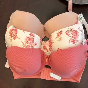 38DD Set of 3 Bras